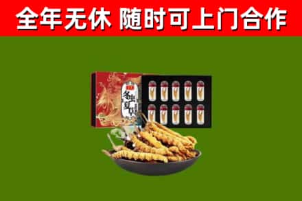 清远市回收冬虫夏草价格